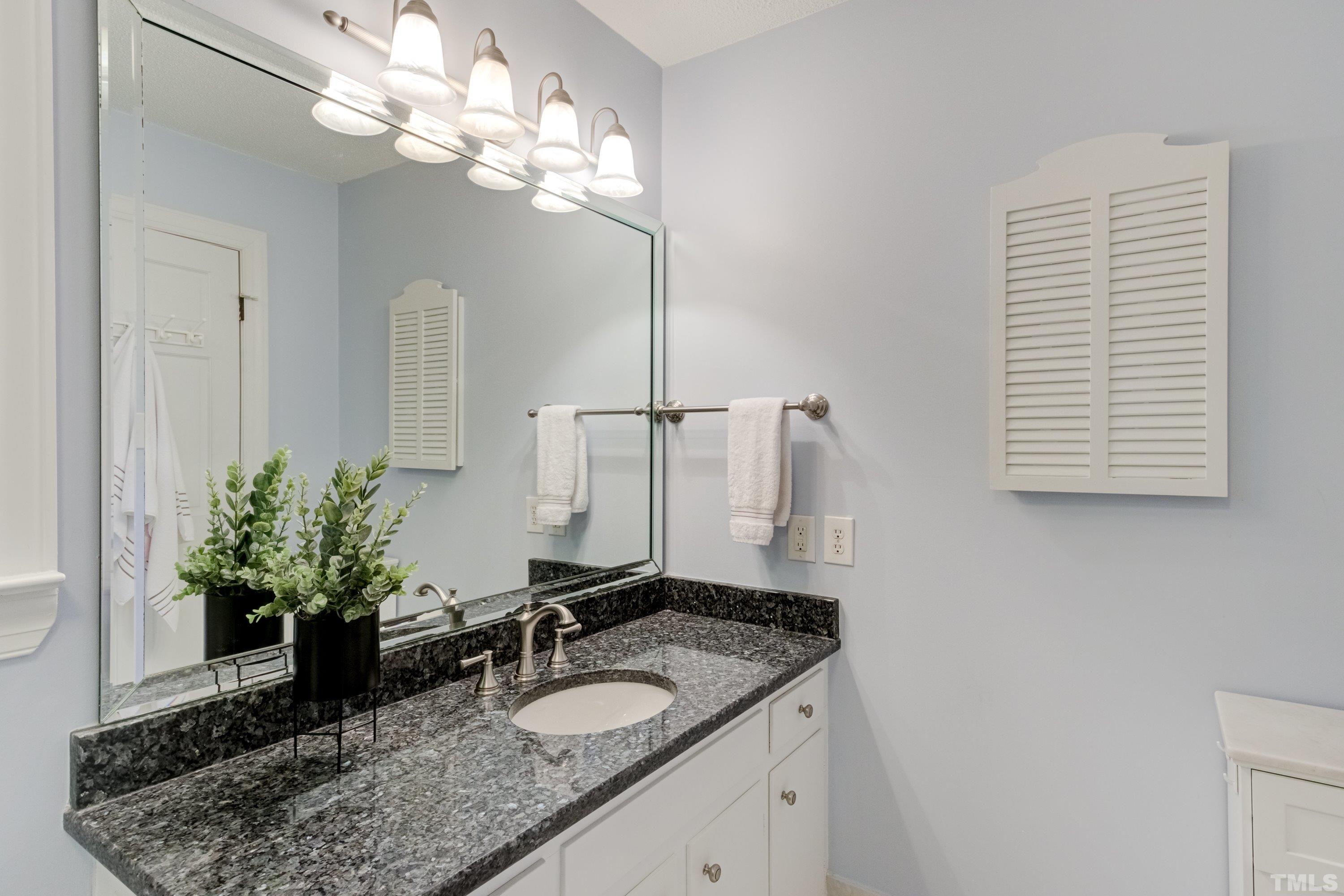 1109 Country Ridge Drive Raleigh, NC 27609 - Photo 32 of 64 a bathroom with a granite countertop sink a large mirror and a potted plant