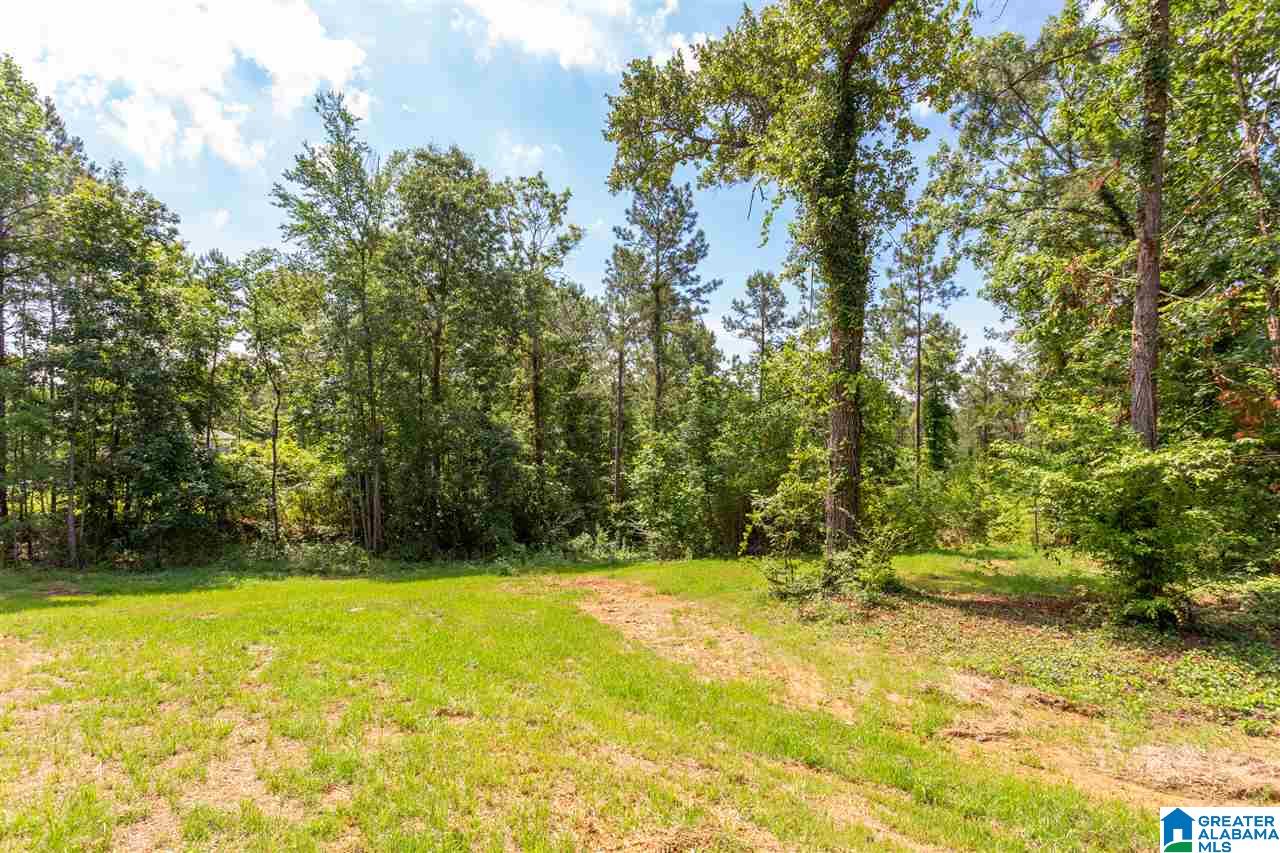 2170 Summit Park Road Odenville, AL 35120 - Photo 34 of 38