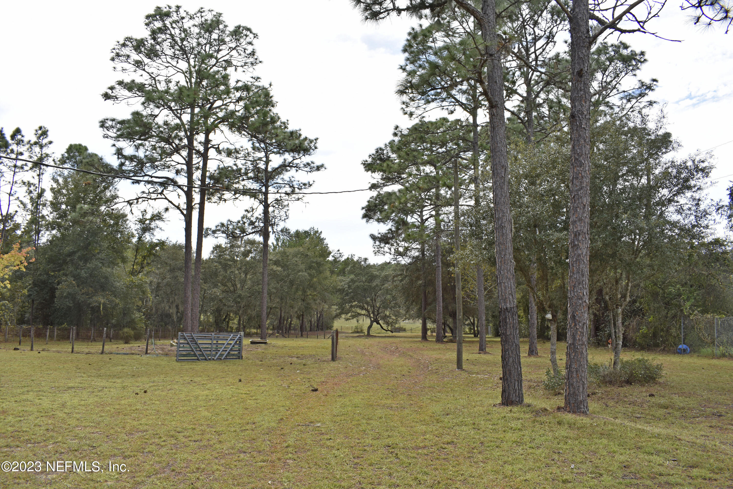 119 Whirlwind Loop Hawthorne, FL 32640 - Photo 38 of 52 backyard
