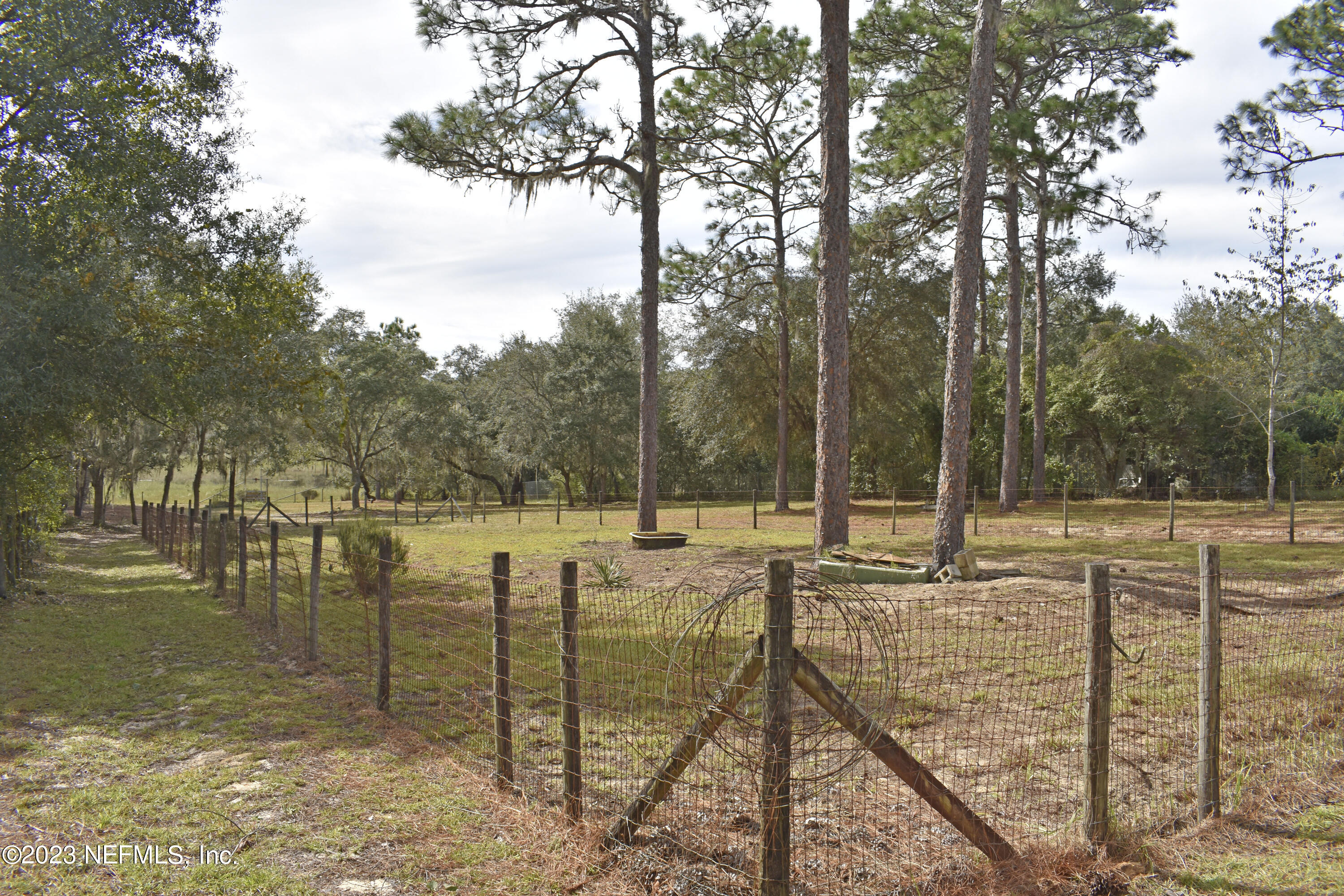 119 Whirlwind Loop Hawthorne, FL 32640 - Photo 40 of 52 backyard