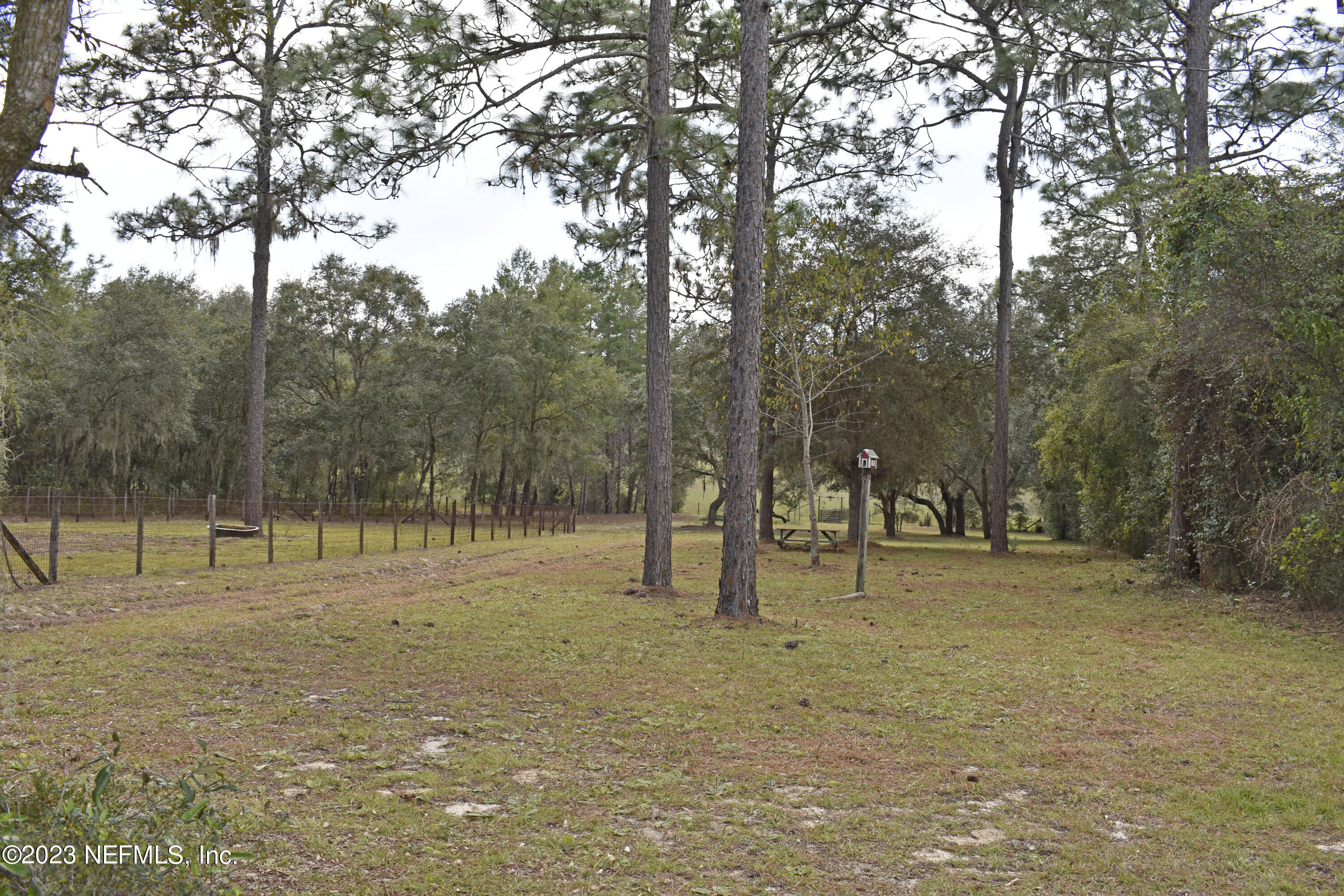 119 Whirlwind Loop Hawthorne, FL 32640 - Photo 41 of 52 backyard