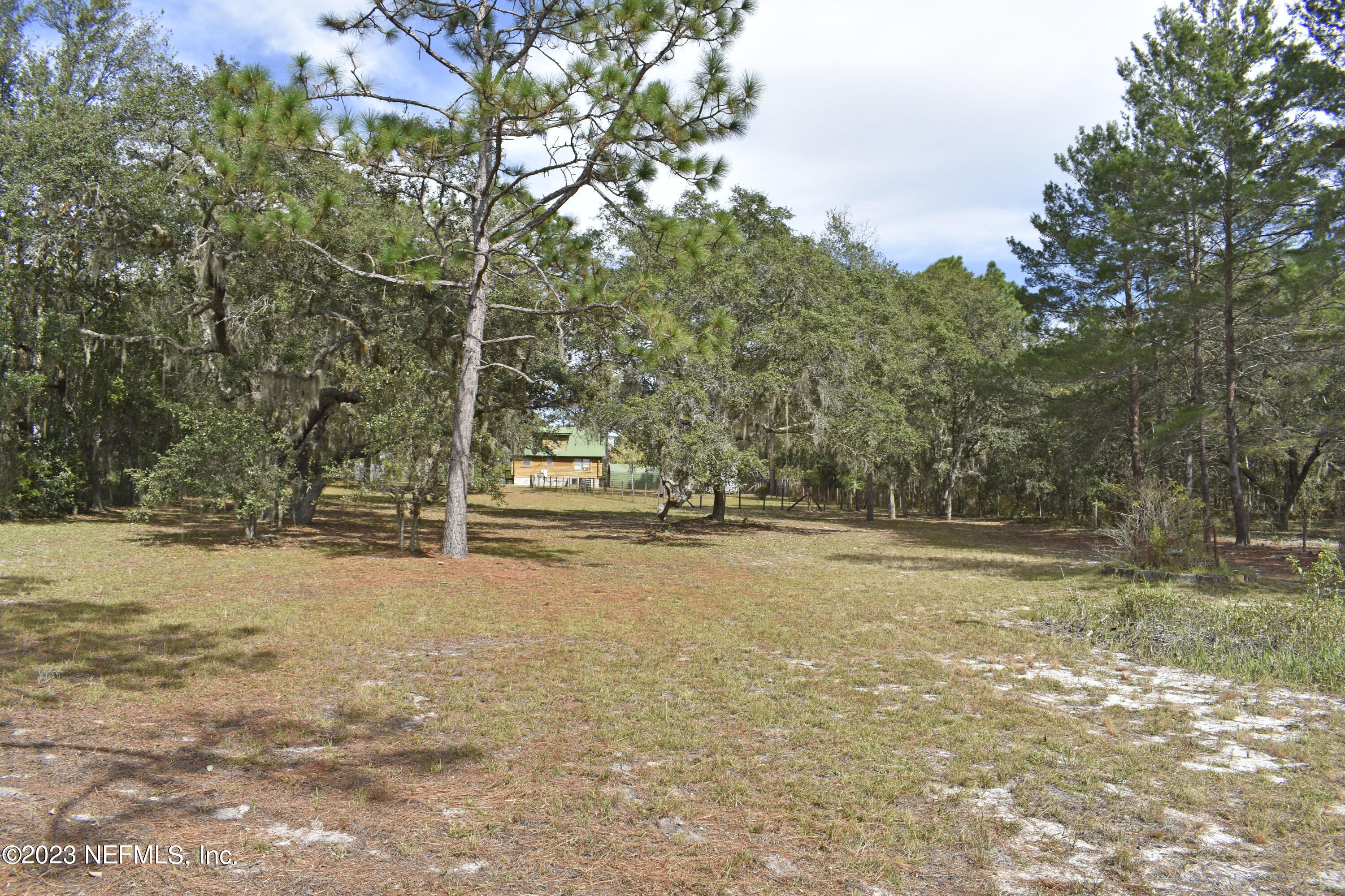 119 Whirlwind Loop Hawthorne, FL 32640 - Photo 46 of 52 backyard