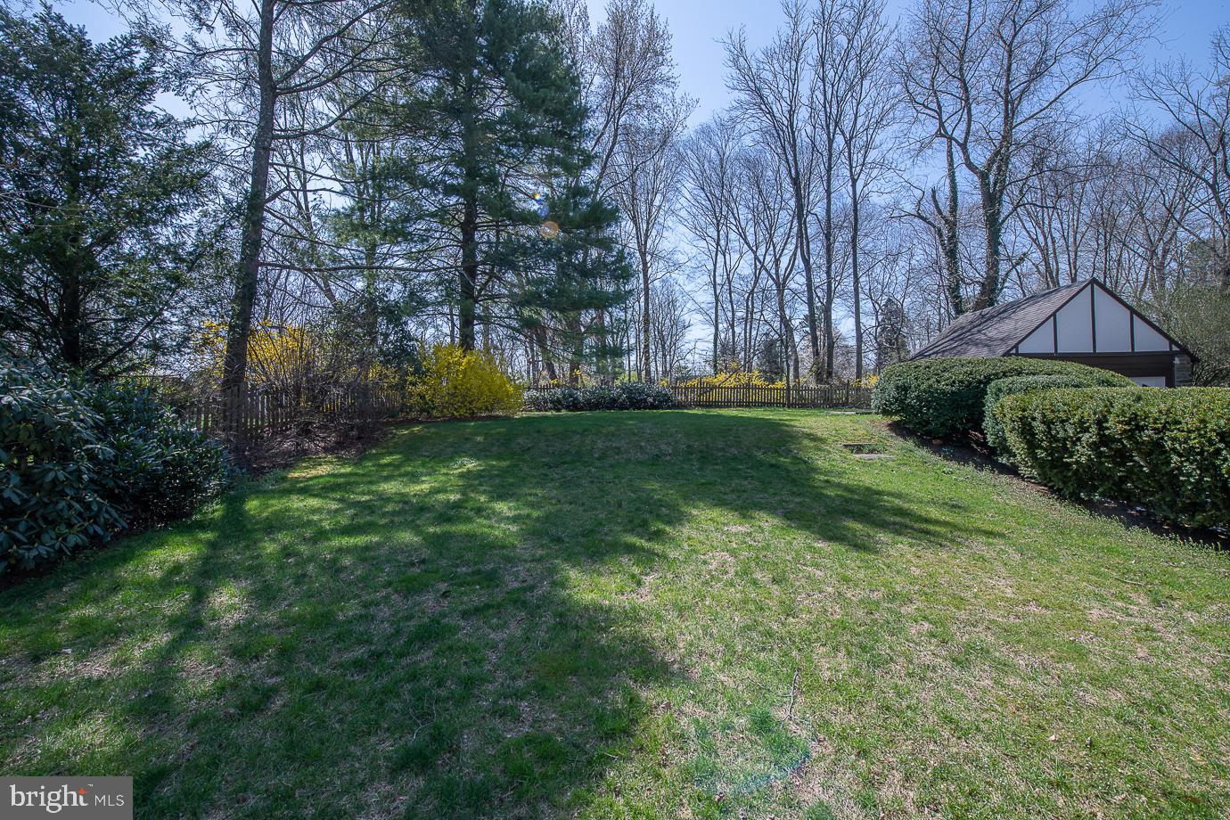 324 Conestoga Road Wayne, PA 19087 - Photo 69 of 81 Back Yard