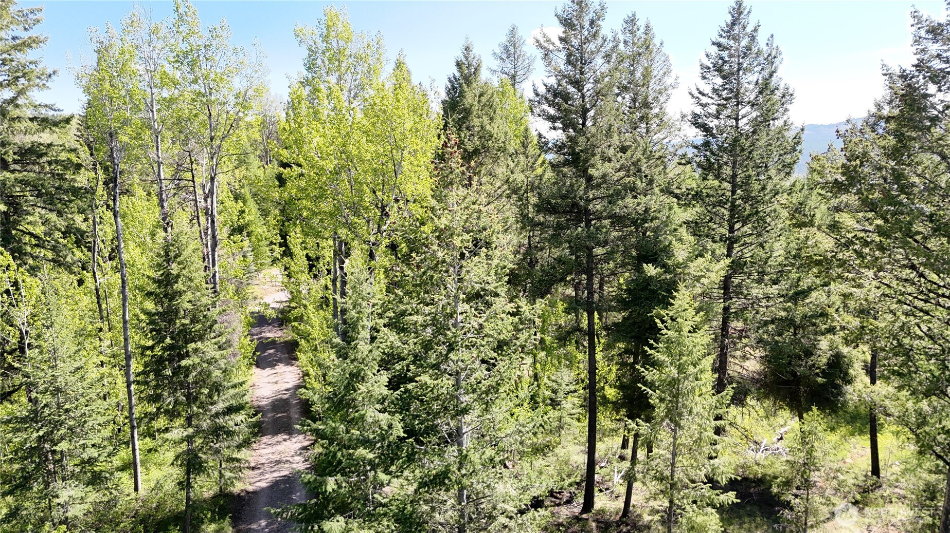 393 Summer Road Tonasket, WA 98855 - Photo 30 of 37 a view of a yard with plants and trees