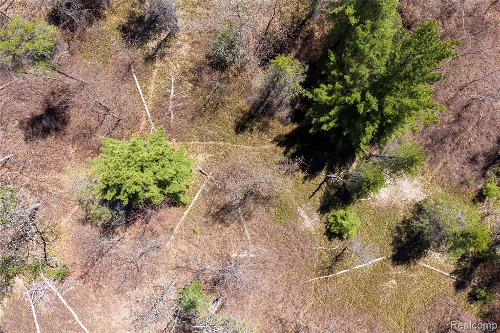 0 Scott Road East Tawas, MI 48730 - Photo 8 of 17