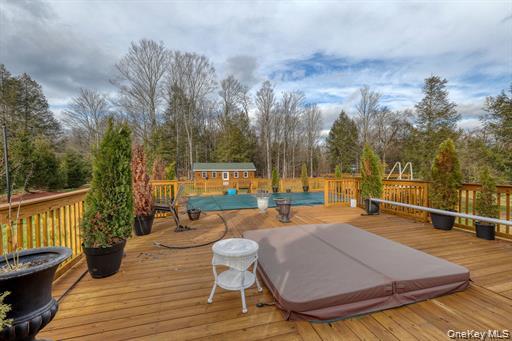 226 Big Woods Road Harris, NY 12742 - Photo 35 of 39 Hot tub