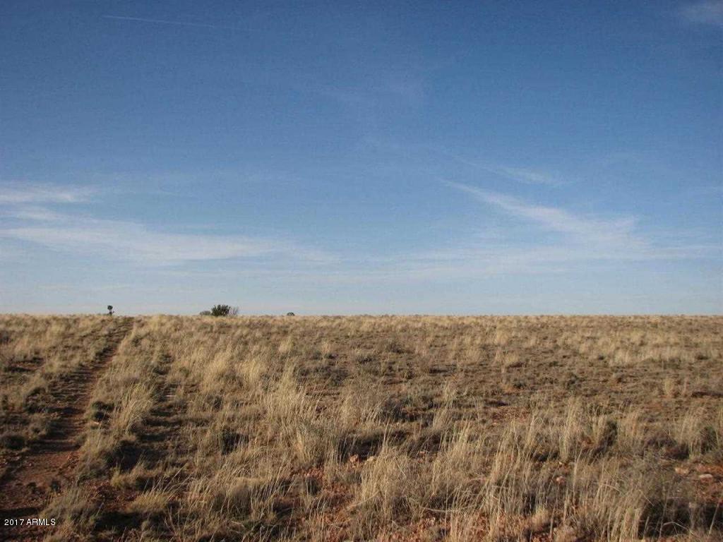 5265 Michelle Road, Unit 235 Snowflake, AZ 85937 - Photo 3 of 3 3