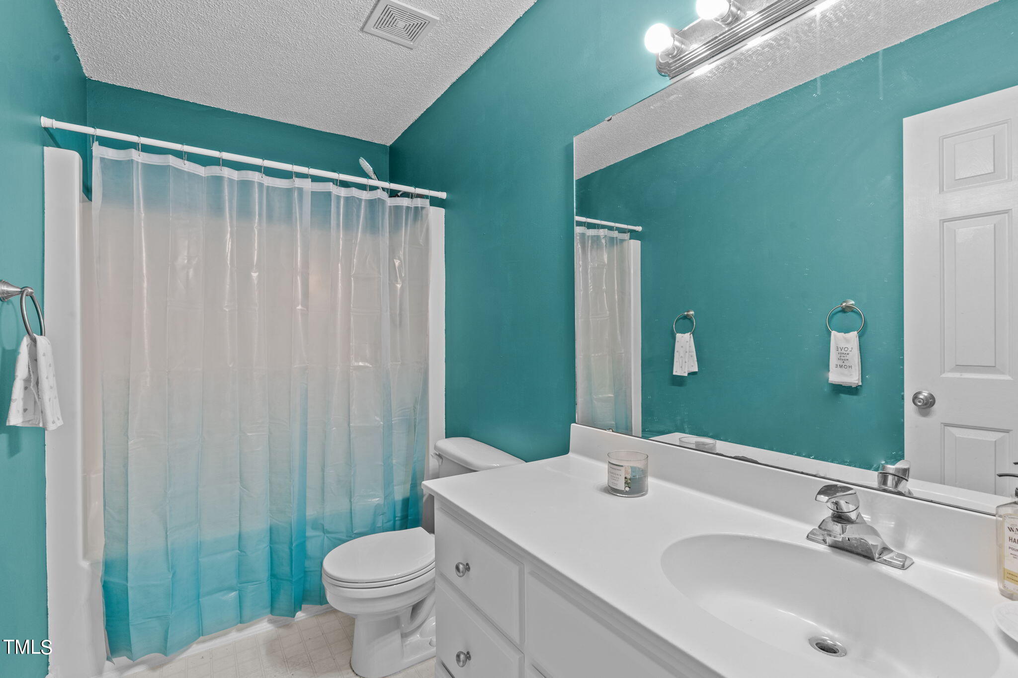 128 Edmondson Drive Willow Spring, NC 27592 - Photo 16 of 38 a bathroom with a sink a toilet a mirror and shower curtain