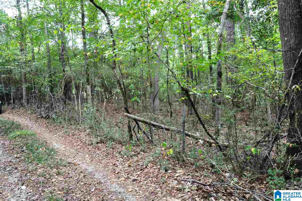 6343 Cahaba Valley Road Birmingham, AL 35242 - Photo 2 of 6