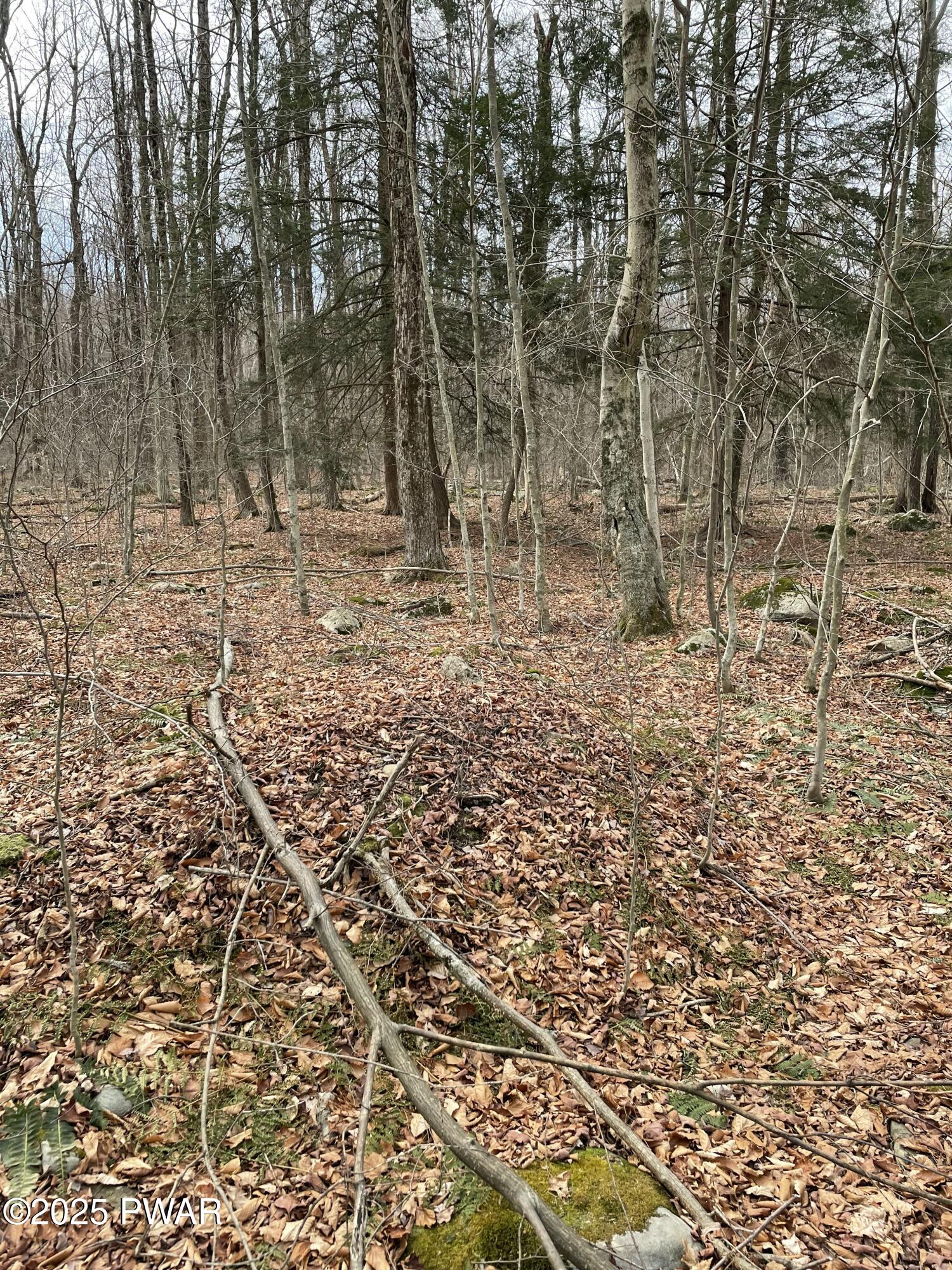 Lot 270 Radcliff Lane Bushkill, PA 18324 - Photo 9 of 10