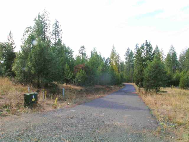 55 East Wild Rose Road Colbert, WA 99005 - Photo 2 of 4