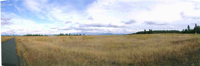55 East Wild Rose Road Colbert, WA 99005 - Photo 4 of 4