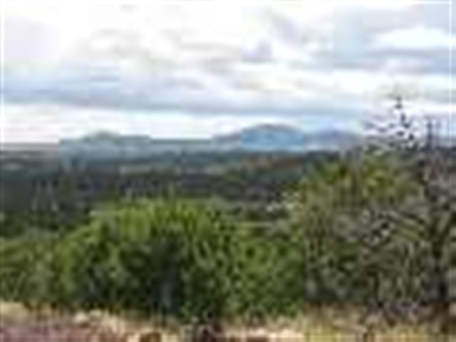 Lot 2 Cinder Rock Road Concho, AZ 85924 - Photo 1 of 3