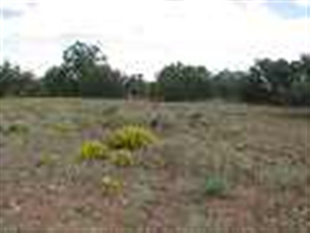 Lot 2 Cinder Rock Road Concho, AZ 85924 - Photo 2 of 3