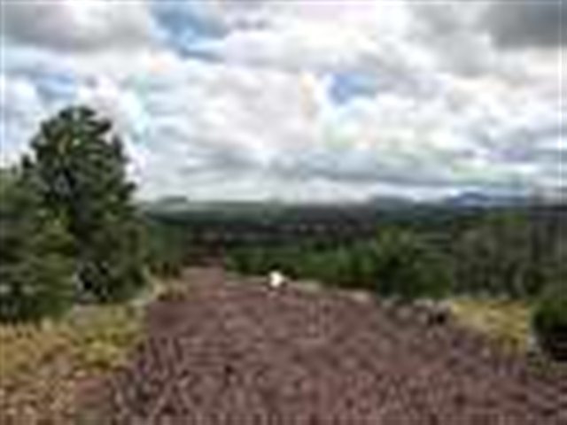 Lot 2 Cinder Rock Road Concho, AZ 85924 - Photo 3 of 3