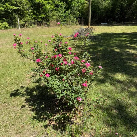 $179,000 | 1722 Red Hill Road, Ponce de Leon, FL 32455