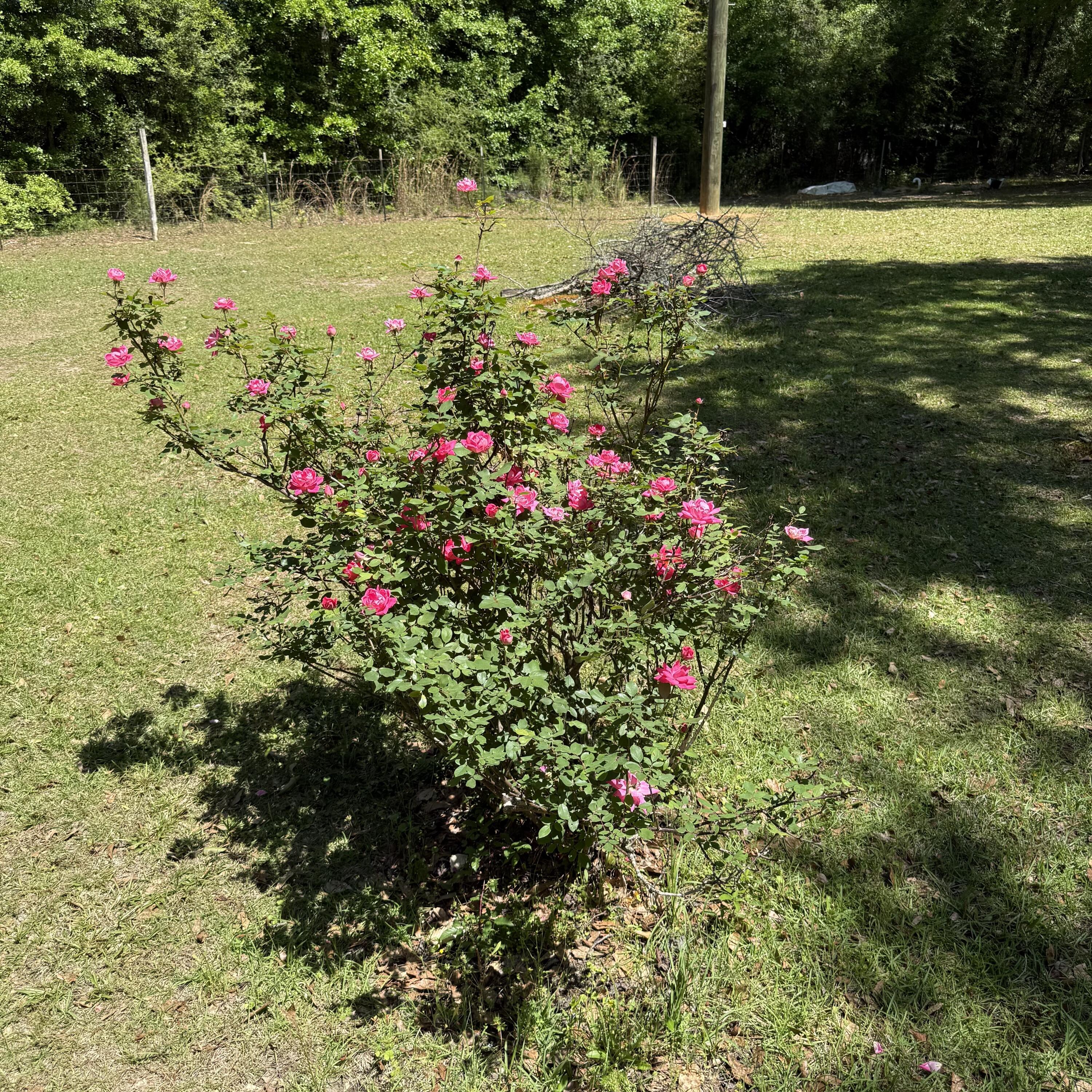 1722 Red Hill Road Ponce de Leon, FL 32455 - Photo 27 of 29 IMG_0577