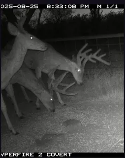 a close view of light fixtures