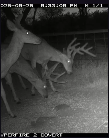 a close view of light fixtures