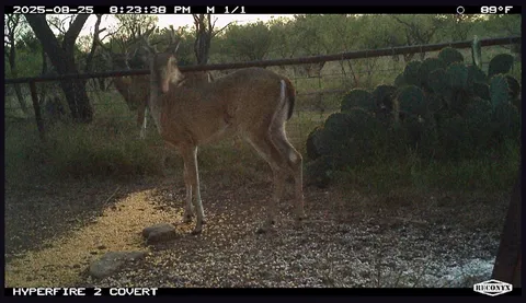 a view of a car park in front of house