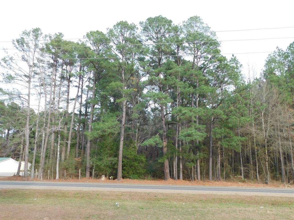25707 Highway 371 Sarepta, LA 71071 - Photo 21 of 30 a view of a park