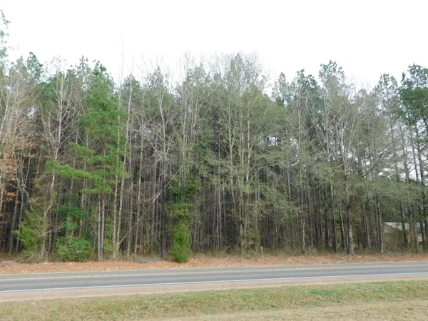a view of a field with trees in the background