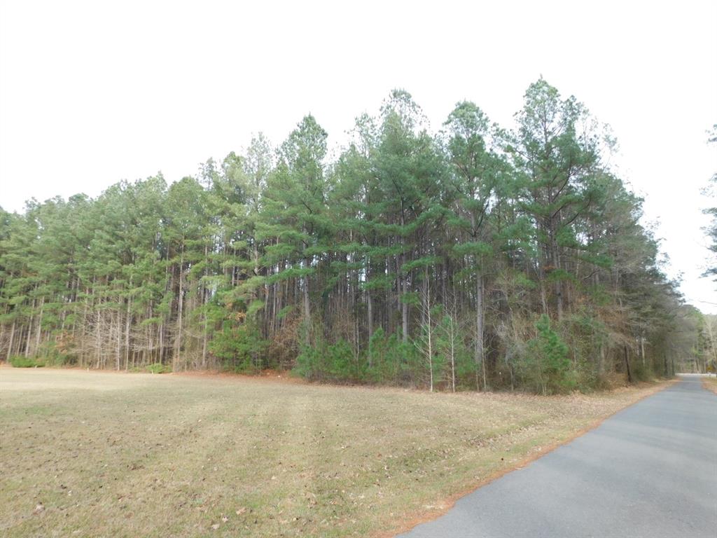 25707 Highway 371 Sarepta, LA 71071 - Photo 24 of 30 a view of a field with trees in the background