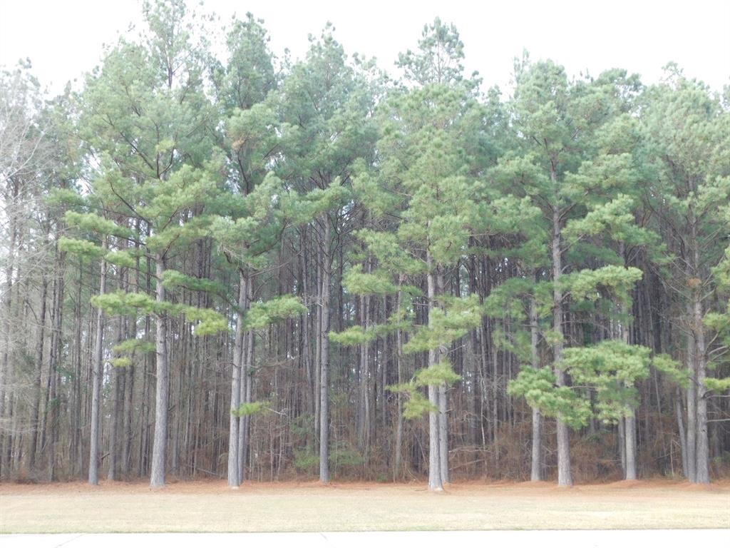 25707 Highway 371 Sarepta, LA 71071 - Photo 25 of 30 a view of a city view