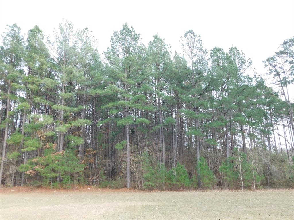 25707 Highway 371 Sarepta, LA 71071 - Photo 26 of 30 a view of a forest filled with trees