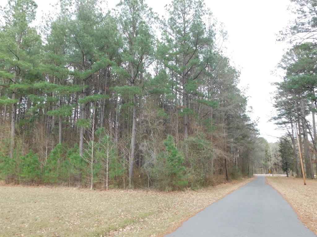 25707 Highway 371 Sarepta, LA 71071 - Photo 28 of 30 a view of a forest filled with trees