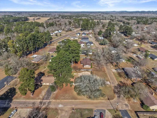 an aerial view of mountain with trees