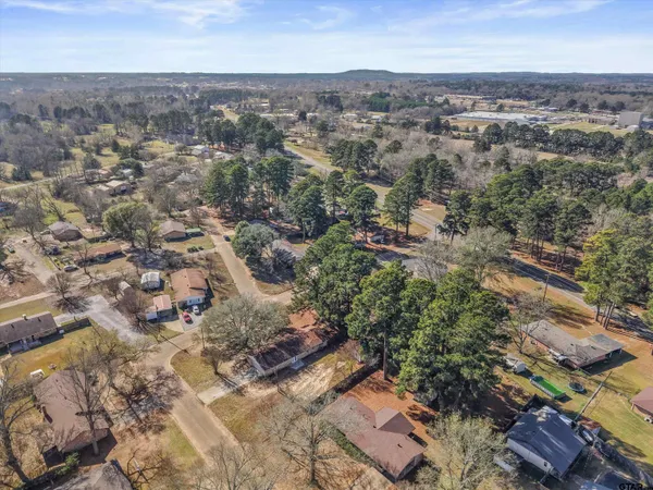 an aerial view of residential houses with city view