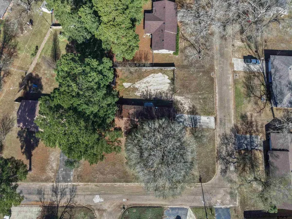 a dirt road with trees in front of it