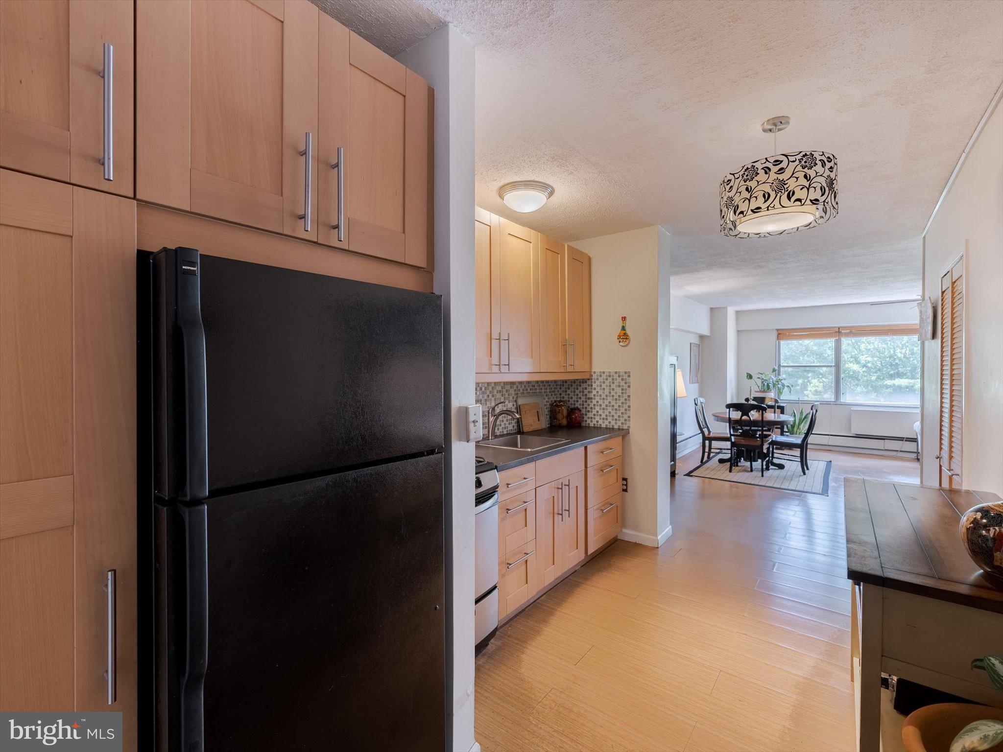 7900 Old York Road, Unit 508B Elkins Park, PA 19027 - Photo 2 of 21 Galley kitchen with updated cabinets, counter
