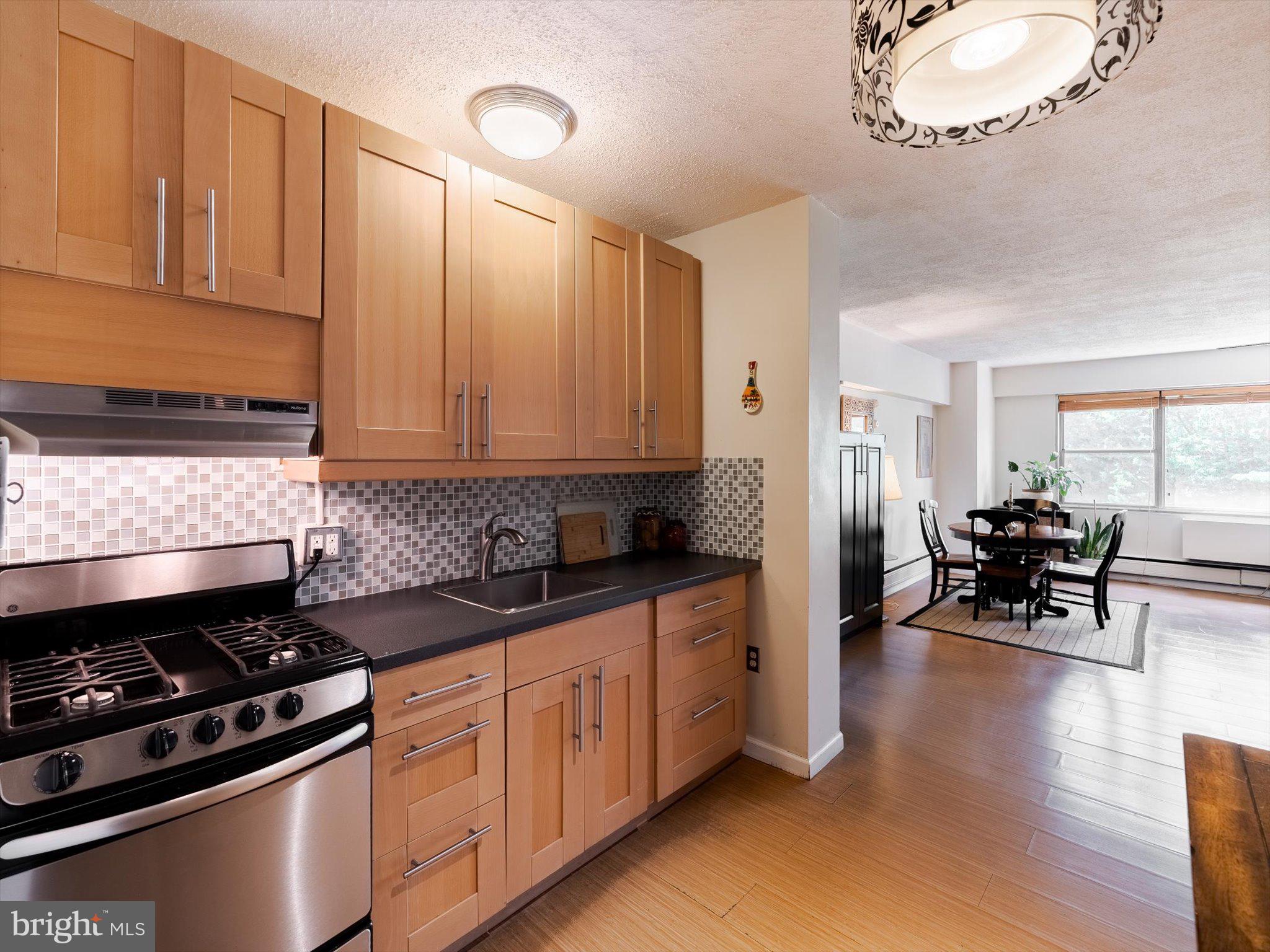 7900 Old York Road, Unit 508B Elkins Park, PA 19027 - Photo 3 of 21