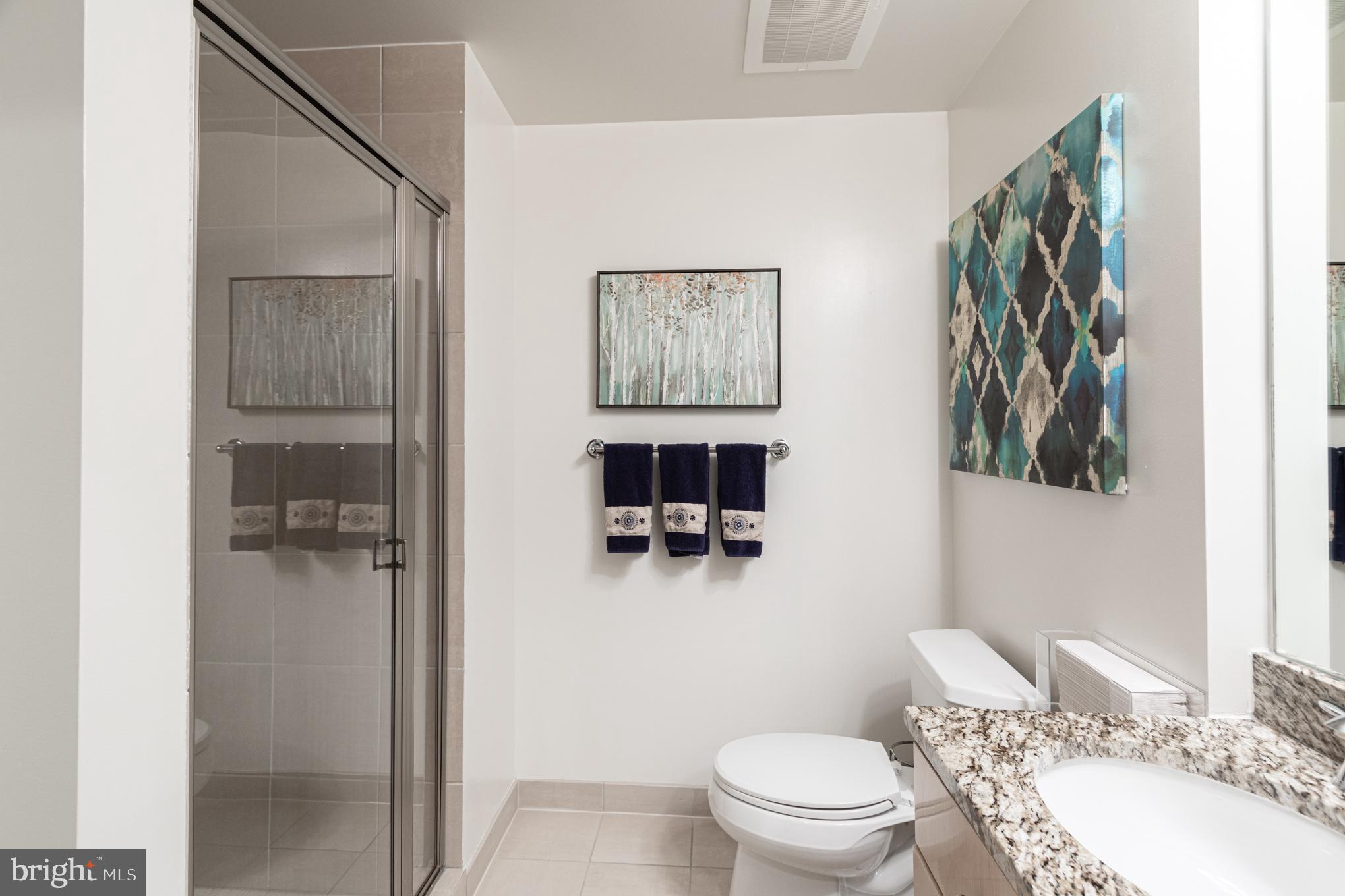 11990 Market Street, Unit 1316 Reston, VA 20190 - Photo 12 of 77 Hall Bath with Shower