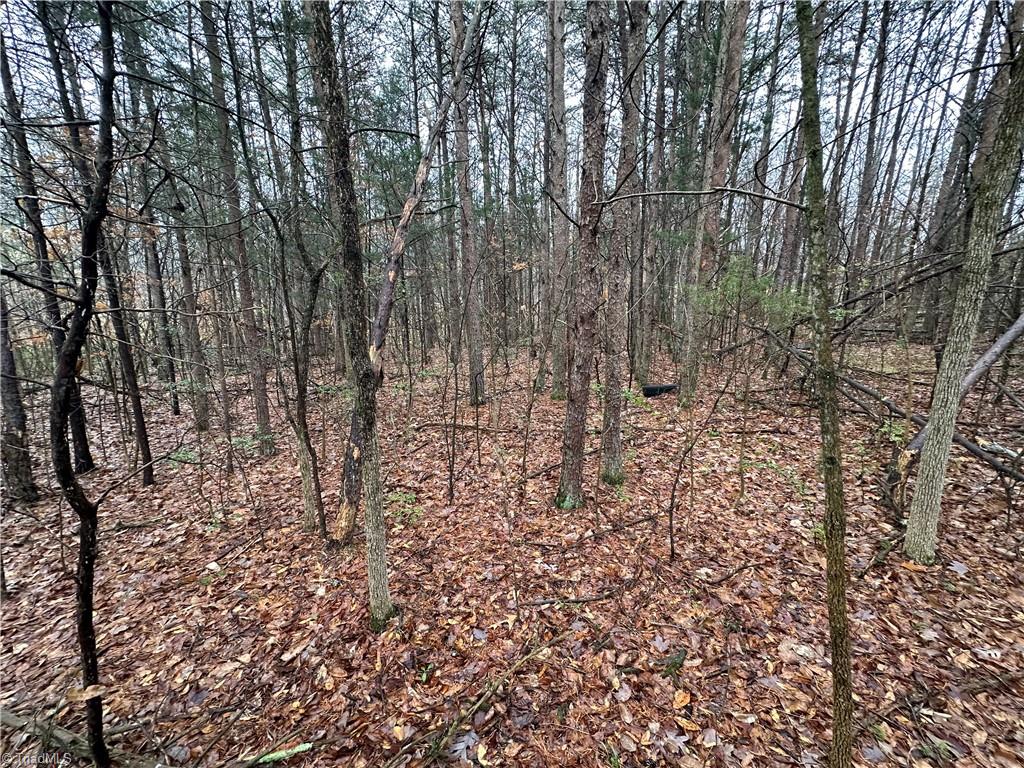 0 Boger Road Mocksville, NC 27028 - Photo 1 of 3 Gallery Image 1