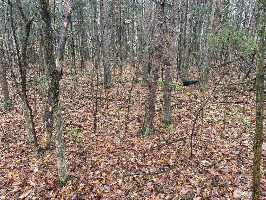 0 Boger Road Mocksville, NC 27028 - Photo 2 of 3 Gallery Image 2
