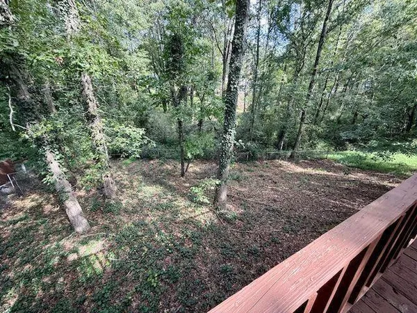 a view of a forest filled with trees