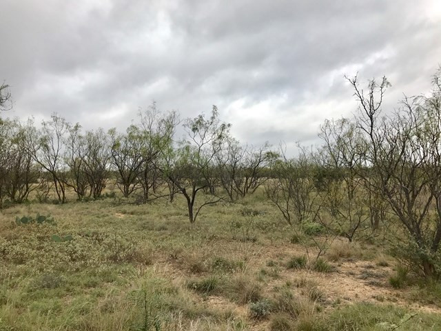 0 South Jameson Road San Angelo, TX 76901 - Photo 7 of 12 Photo 7