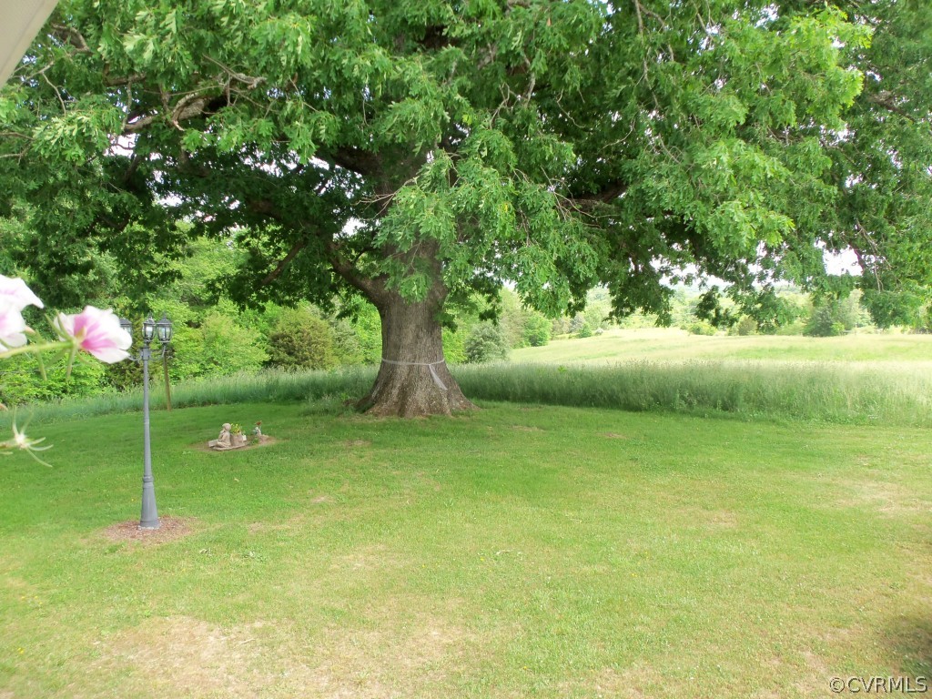 368 Cata Road Cumberland, VA 23040 - Photo 5 of 24 Majestic oak and walnut tree surround the home