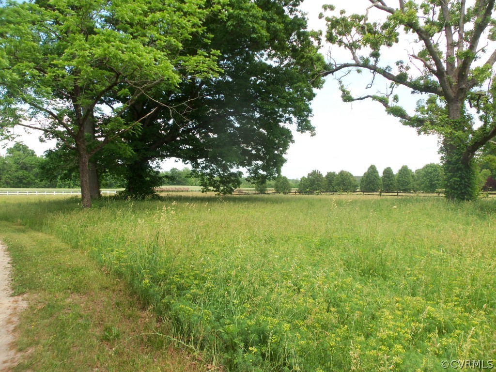 368 Cata Road Cumberland, VA 23040 - Photo 6 of 24 Gorgeous old home site at front of property
