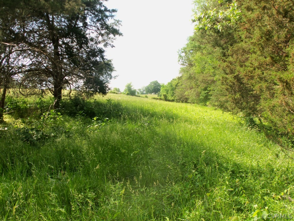 368 Cata Road Cumberland, VA 23040 - Photo 8 of 24 Rear of pasture by the creek looking up towards th