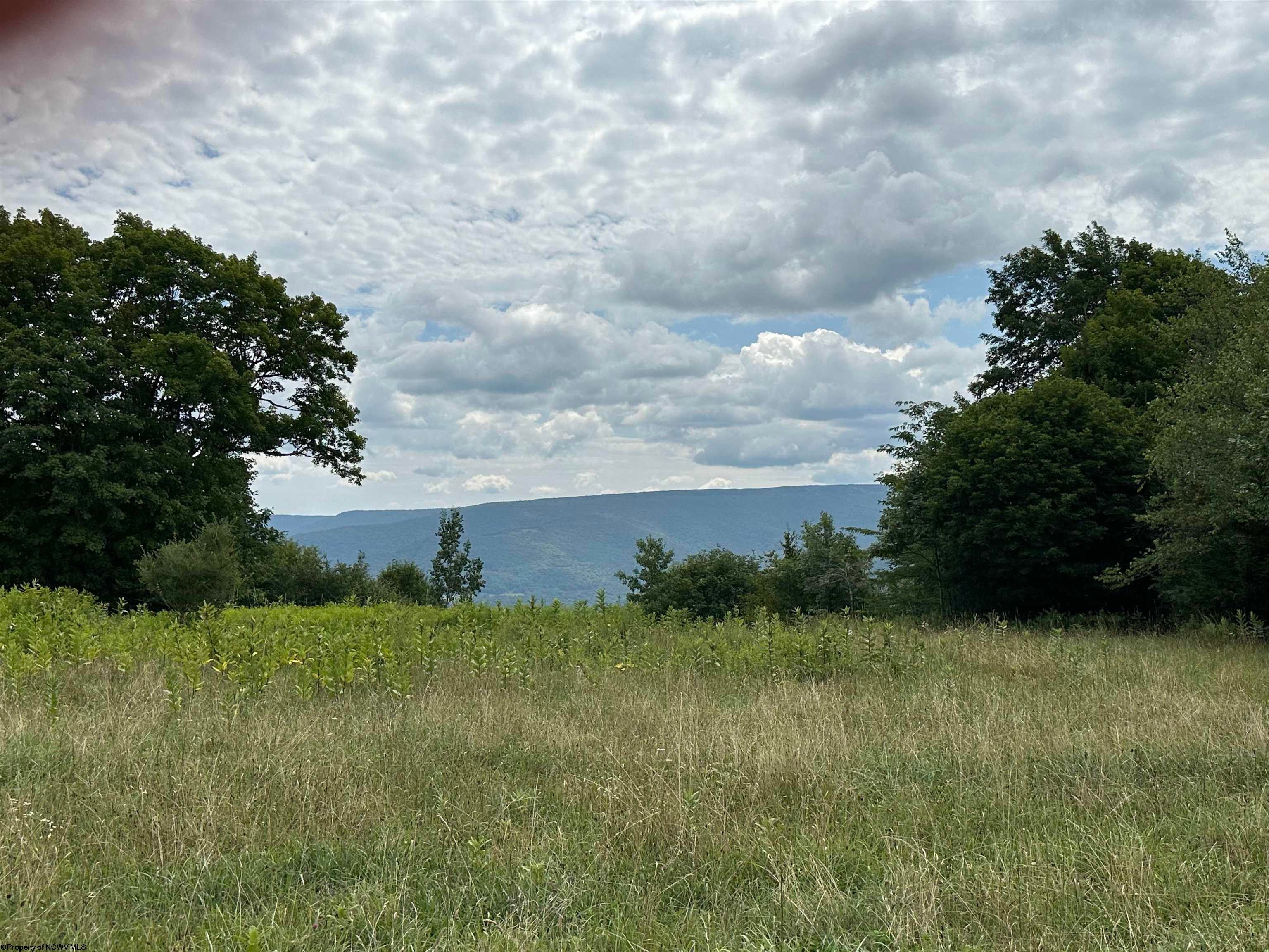 Lot 24 Pointy Knob Road Davis, WV 26260 - Photo 12 of 17 Gallery Image 12