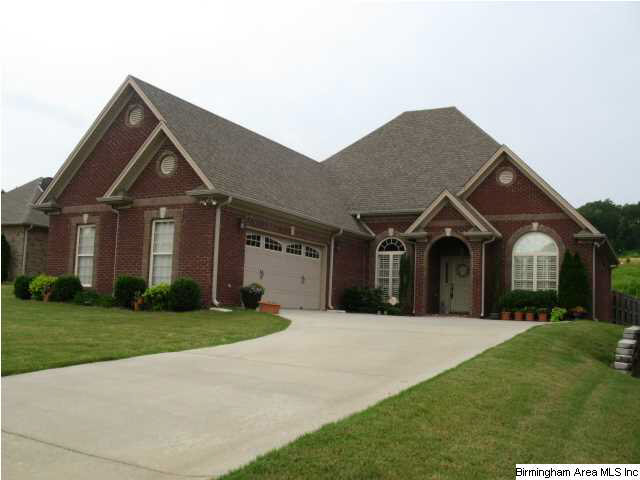 110 Vickie Drive Springville, AL 35146 - Photo 1 of 25