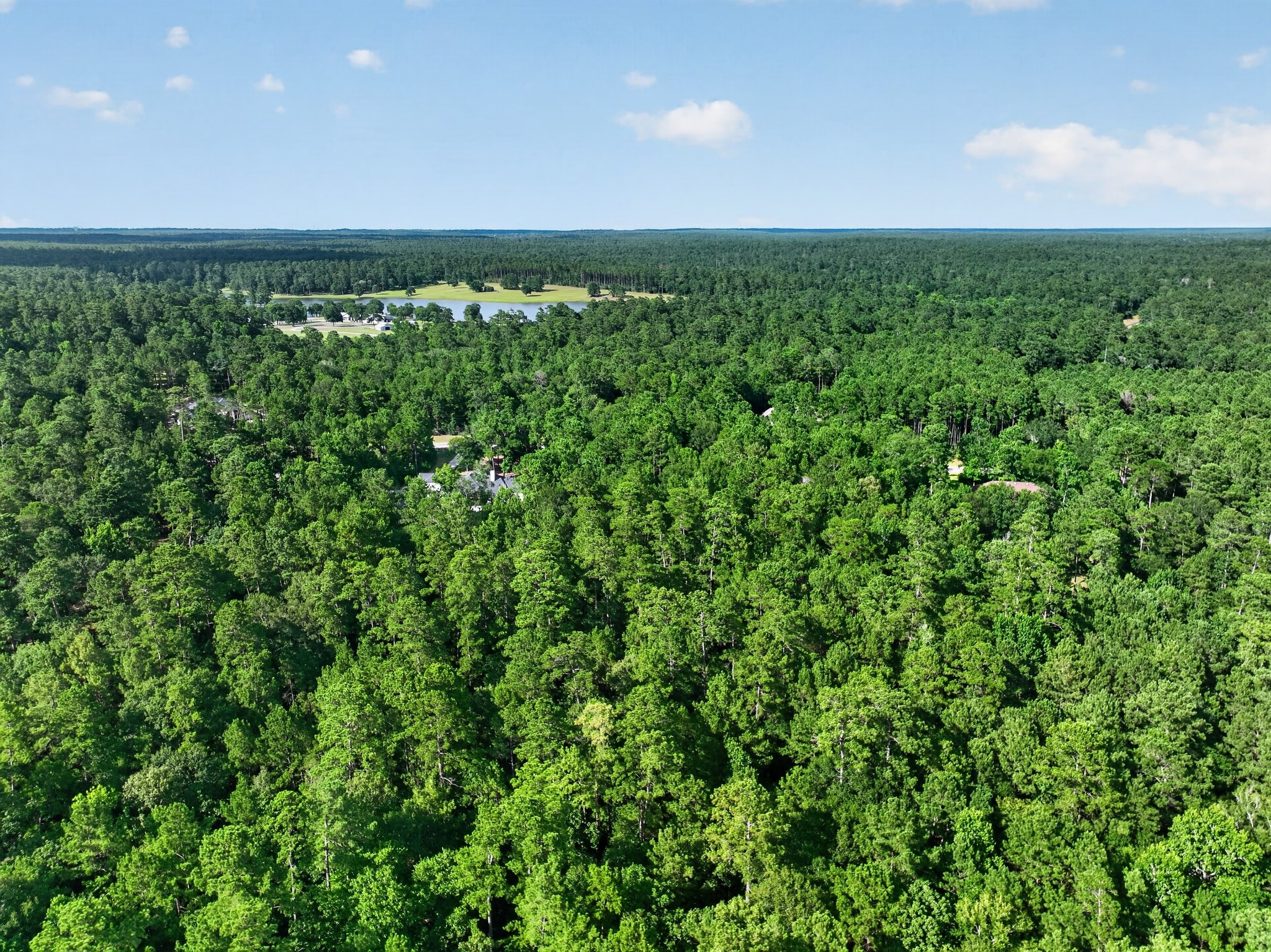 Tbd Branding Iron Road Huntsville, TX 77340 - Photo 11 of 16 Gallery Image 11