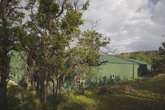 1235 Mckenzie Springs Road Placerville, CO 81430 - Photo 6 of 9 Additional Photo