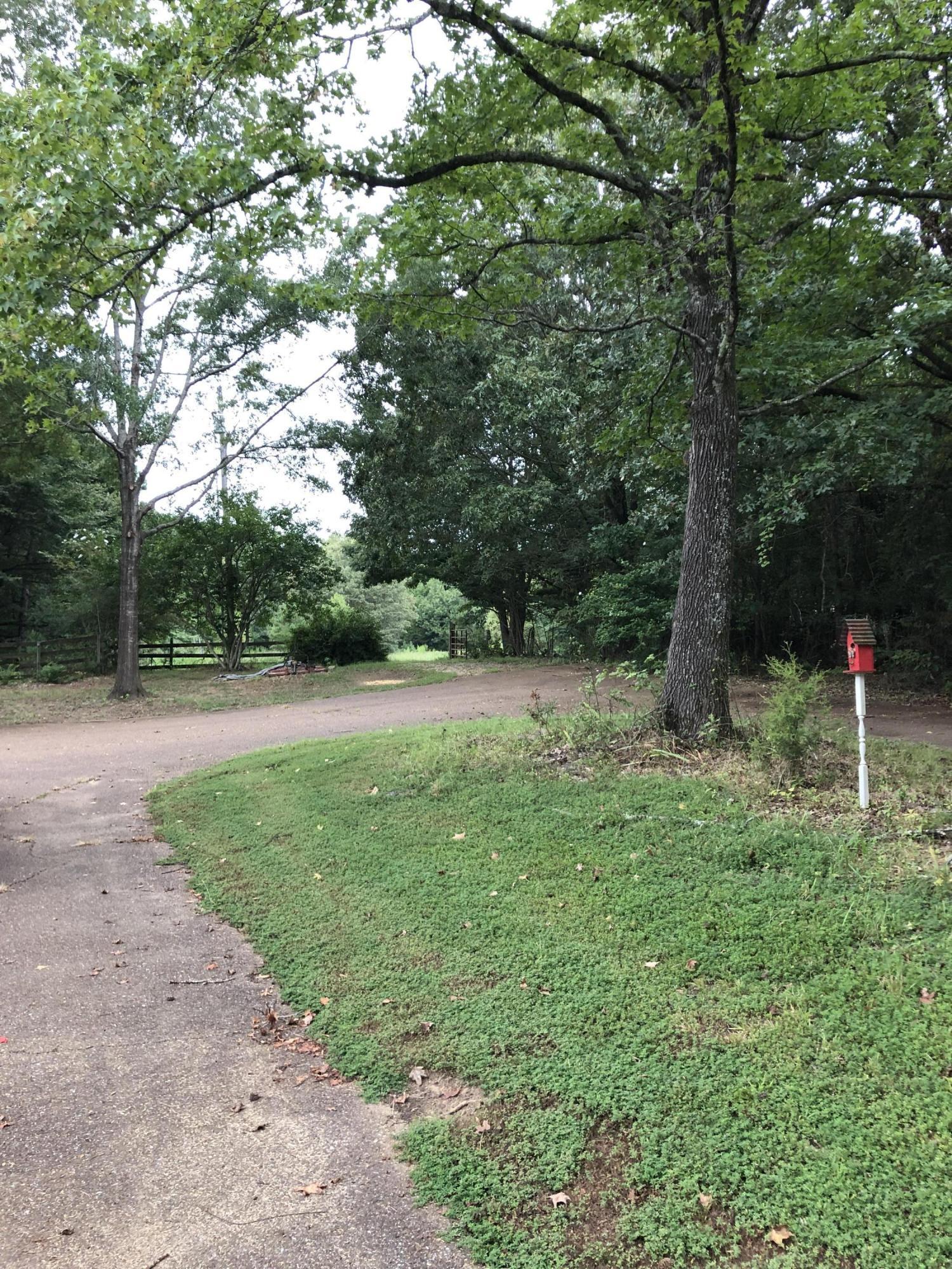 765 Ross Road Olive Branch, MS 38654 - Photo 6 of 26 IMG_3809