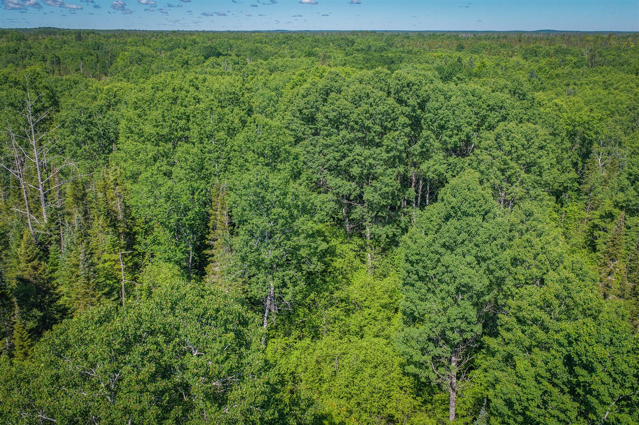 South North Hulbert Road Eckerman, MI 49728 - Photo 15 of 29