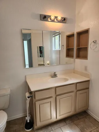 a bathroom with a sink and a toilet